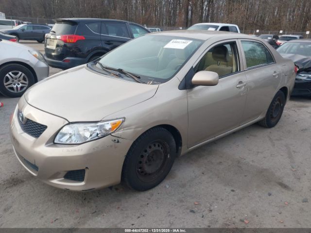 Toyota Corolla Le Image 13