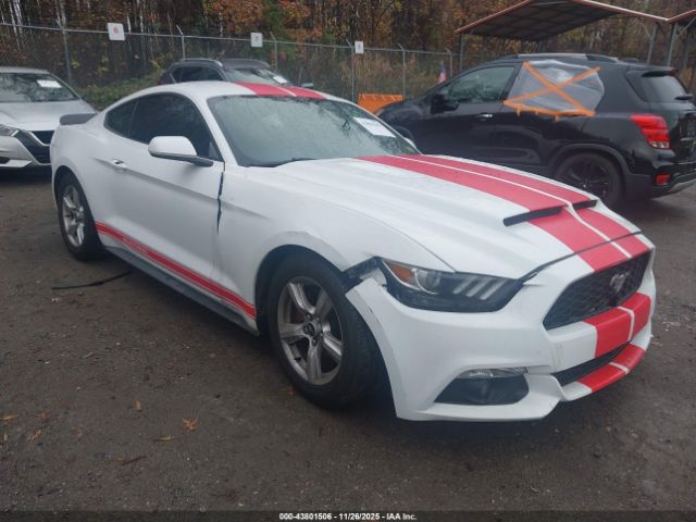 Ford Mustang Ecoboost Image 1