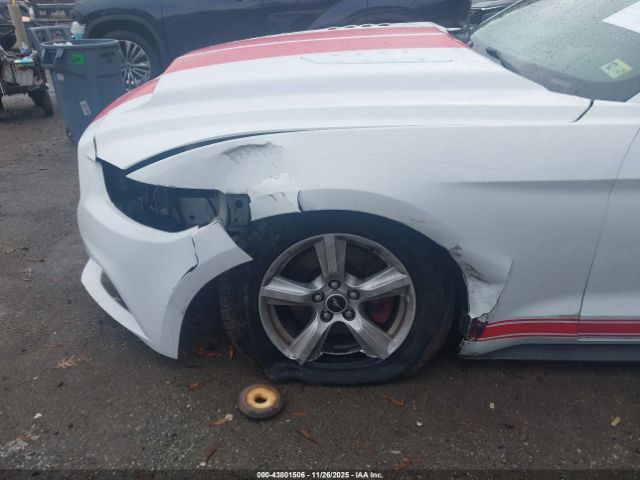 Ford Mustang Ecoboost Image 7