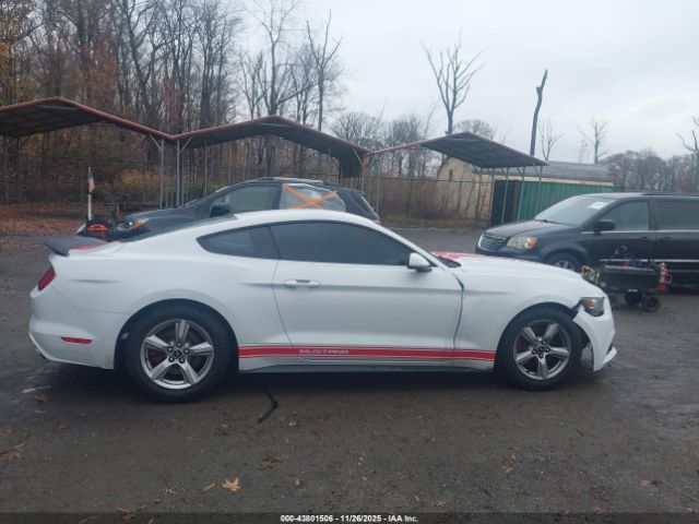Ford Mustang Ecoboost Image 8