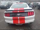 Ford Mustang Ecoboost Image 14