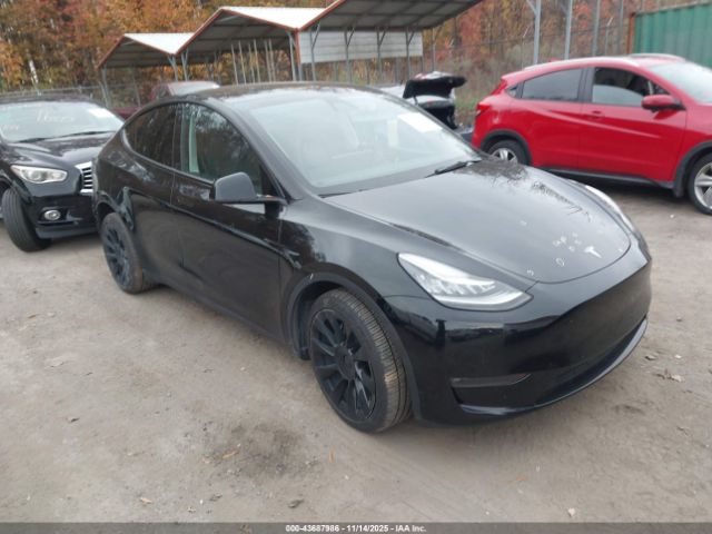 Tesla Model Y Long Range Dual Motor All-wheel Drive Image 1