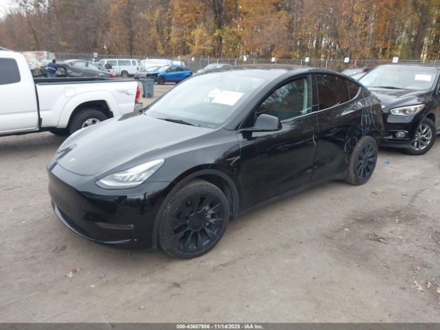 Tesla Model Y Long Range Dual Motor All-wheel Drive Image 11