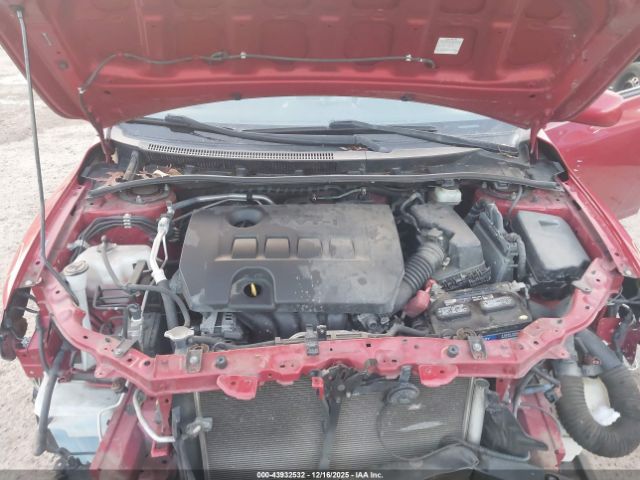 Toyota Corolla Le Image 14