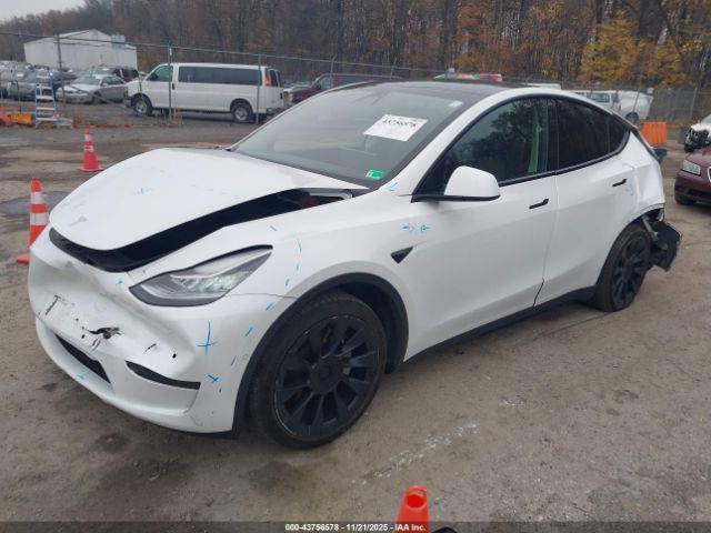 Tesla Model Y Long Range Dual Motor All-wheel Drive Image 12